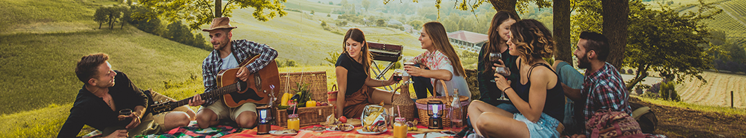 Targeted Probiotic Protection for Daily Gut Health