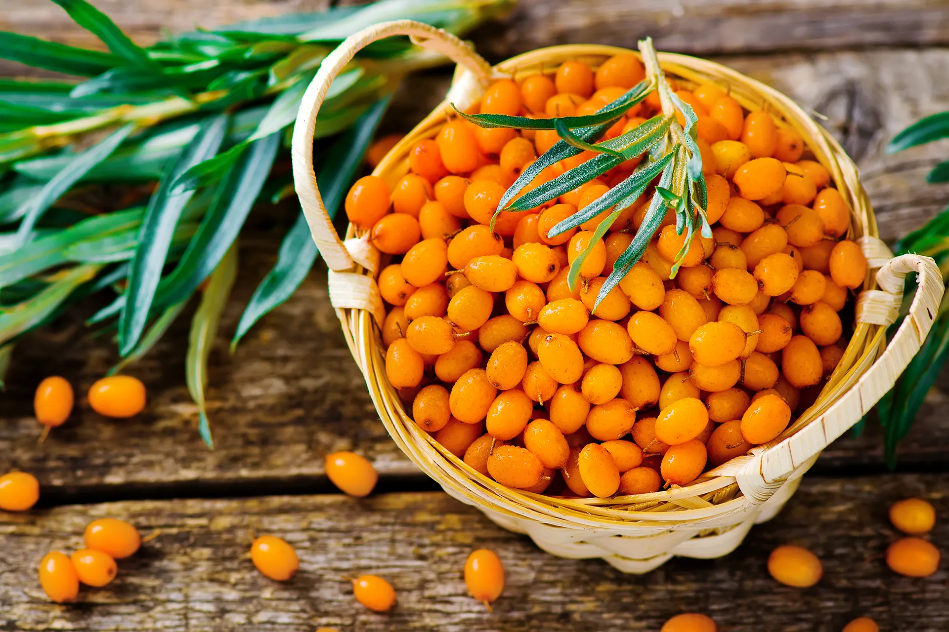 Signs your skin could benefit from Sea Buckthorn Seed Oil